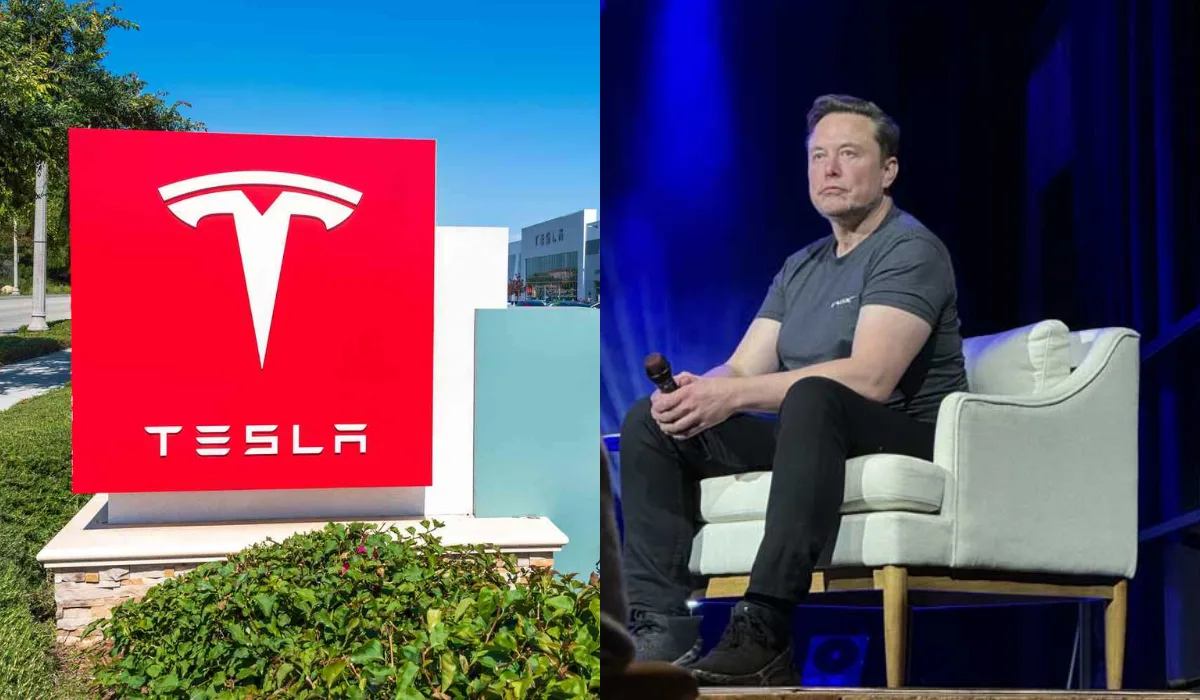 Tesla board chair Musk political activities
